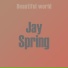 Jay Spring