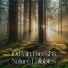 Rainforest Music Lullabies Ensemble