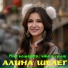 Алина Шелег