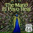 The Mario