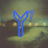 Y7