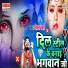 Vikram Bedardi