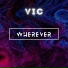 V I C