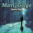 Barış Öge