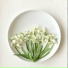 叶孤城