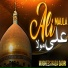 Mughees Raza Qadri