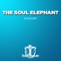 The Soul Elephant