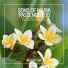 Sons Of Maria & Passenger 10