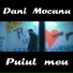 Dani Mocanu