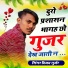vijay Gurjar