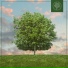 Eu93ne, Beats for Trees