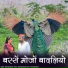 Omu Rajasthani