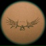 Great Elk