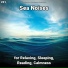 Ocean Currents, Nature Sounds, Ocean Sounds