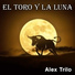 Alex Trilo