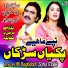 Imran Ali Baghdadi, Safia Malik