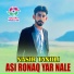 Nasir Tanoli