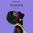 SOHNO