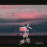 流浪兄弟