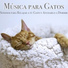 RelaxMyCat
