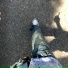 Yurms