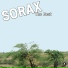 Sorax