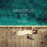 Amadeus feat. Faizan