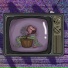 ВИВИЧ