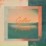 Focus-Fi