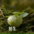 牛犇犇