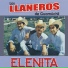 Los Llaneros de Guamuchil
