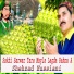 SHEHZAD HUSSIANI