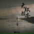 Daven Wu