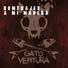 Gato Ventura