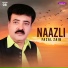 Fazal Zaib