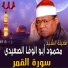 Al Sheikh Mahmoud Abo Al Wafa Al Seidy