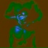 Dj Empty Heart