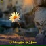 Waheedullah Wahidi