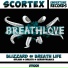 Scortex -