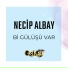 Necip Albay
