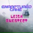 Leigh Questect