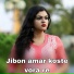 Bapi Das baul