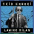 Seid Gabari