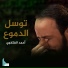 أحمد الفتلاوي