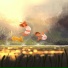 羽小柔