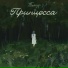 Тимур