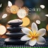 Wellness Spa Music Oasis