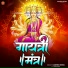 Kashish Sinha