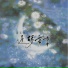 洛天依