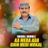 Babal Jamali